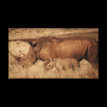 Save the Rhino canvas prints