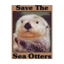 Save the Sea Otters Postcard