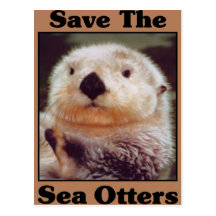 Save the Sea Otters Postcard