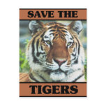 Save the Tigers Postcard