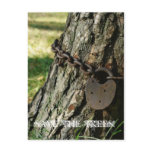 Save the Trees Post Card 1