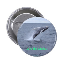 Save the Whales button