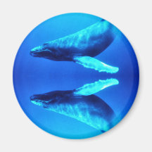 Save the Whales Fridge Magnets