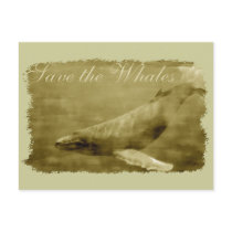 Save the Whales Post Cards