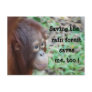 Save Wildlife and Rainforest postcard