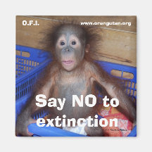 Save Wildlife Say No to Extinction Fridge Magnet