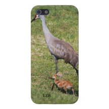 Savvy iPhone 5 case - Sandhill Crane and Chicks