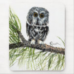 Saw Whet Owl Mouse Pad
