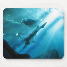Sawfish & Wrasse in Blue Mousepad
