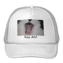 Say Ah!/Dentist Humour Mesh Hat