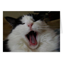 Say Ahhh Card