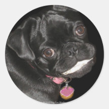 Say Chewy! Stickers