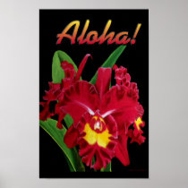 Say it with Aloha! 2 ( Prints )