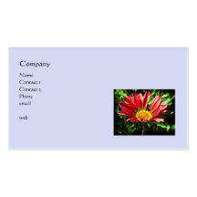 Say it with flowers Business Card