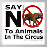 Say No To Animals in The Circus Poster by NEPA A
