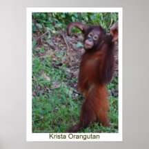 Say No to Bullies - Krista Orangutan Print