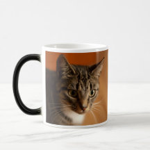 "Say Whaat?" Cat Cup - exclusively from MogsOnMugs
