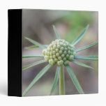 Scabiosa Bud Vinyl Binders