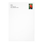 Scalet Macaw Custom Stationery