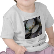 Scallops Tees