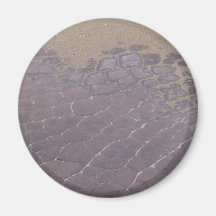 Scaly Rocks Refrigerator Magnets