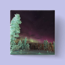 Scandinavia, Finland, Lapland, Kakslauttanen, buttons