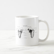 Scapula Details Coffee Mugs