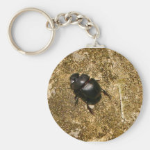 Scarab Beetle walking Key Chain
