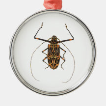 Scarabée Acrocinus Longimanus de harlequin Décoration Pour Sapin De Noël