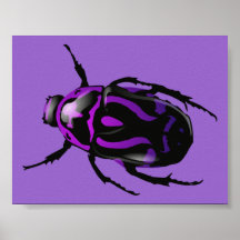 Scarabée pourpre posters