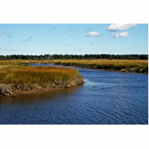 Scarborough Marsh (saltwater) Maine Photo Cutouts