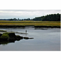 Scarborough Marsh (saltwater) Maine Photo Sculptures