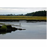 Scarborough Marsh (saltwater) Maine photo sculptures
