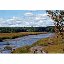 Scarborough Marsh (saltwater), Maine Acrylic Cut Outs