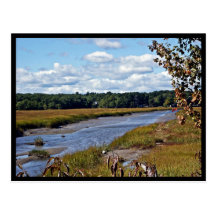 Scarborough Marsh (saltwater), Maine Postcard