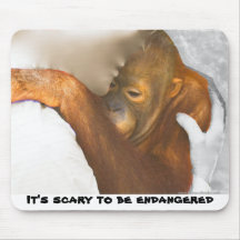 Scared Endangered Orangutan Mouse Pad
