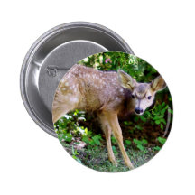 Scared little Deer Buttons