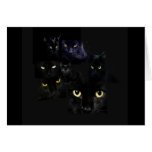 Scaredy Cats Greeting Card