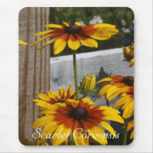 Scarlet Coreopsis Mousepads