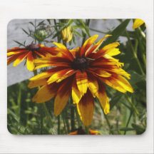 Scarlet Coreopsis Mousepads