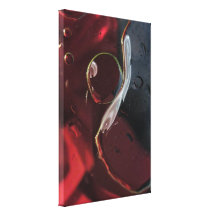 Scarlet Droplet Abstract Canvas Print