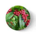 Scarlet Firethorn Pin