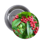 Scarlet Firethorn In Valley Gardens Park Pin