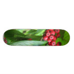 Scarlet Firethorn In Valley Gardens Park Skateboard Deck