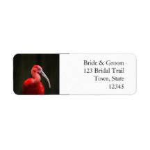 Scarlet Ibis Wedding Labels