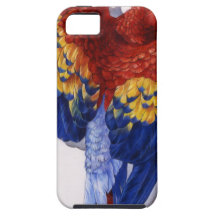 Scarlet Macaw Portrait iPhone 5 Cases
