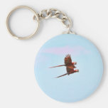Scarlet Mackaw Couple Flying Key Chains