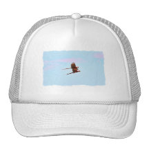 Scarlet Mackaw Couple Flying Trucker Hats