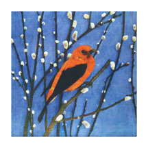 Scarlet Tanager Gallery Wrap Canvas