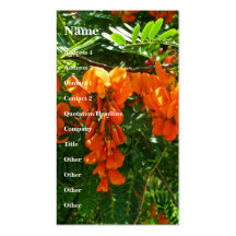 Scarlet Wisteria (Sesbania punicea) Business Card